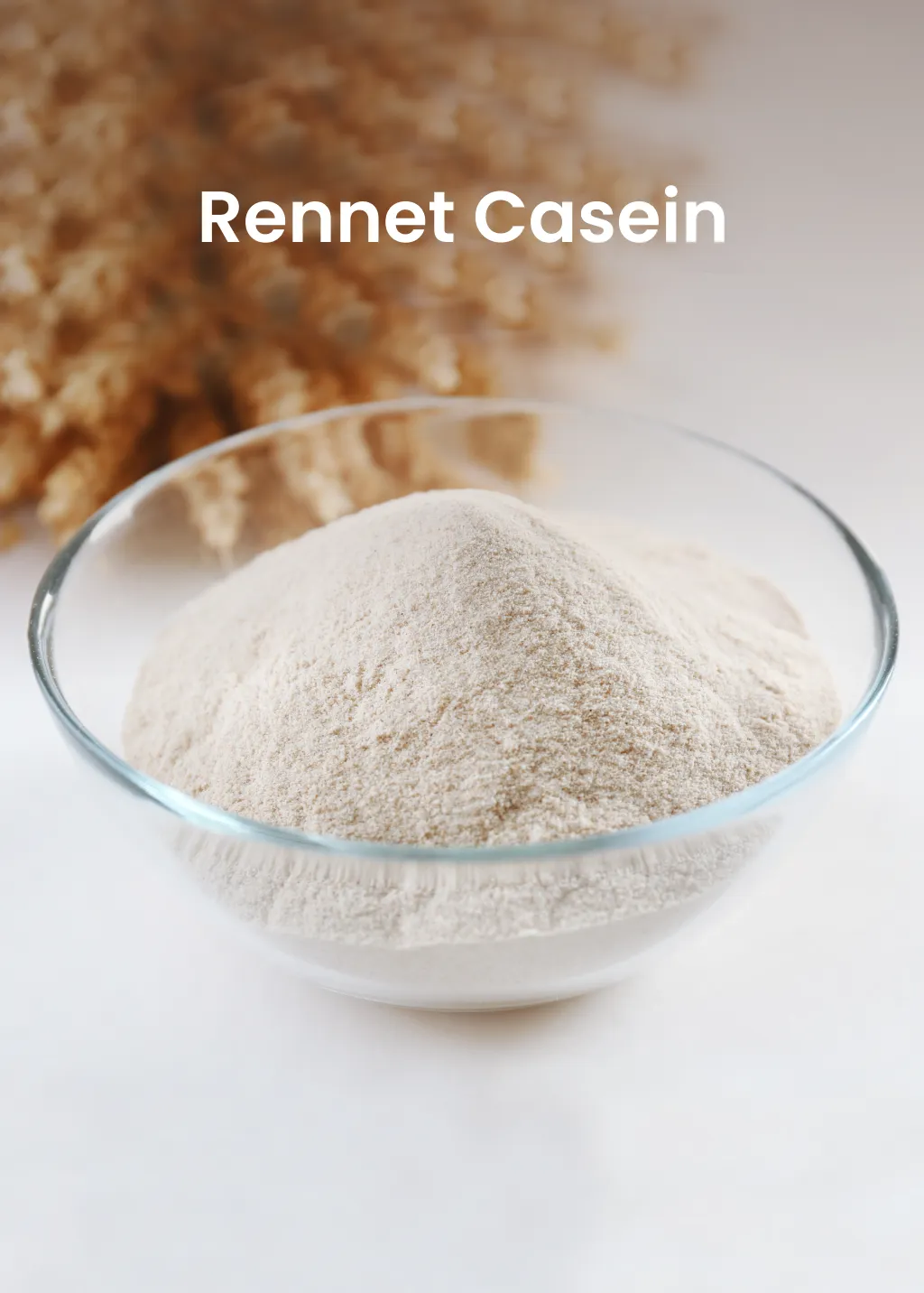 Rennet Casein from Milk Powder Asia